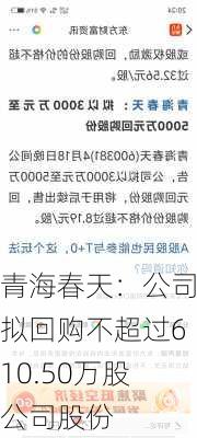 青海春天：公司拟回购不超过610.50万股公司股份